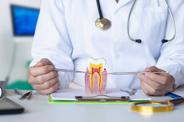 Best Pediatric Emergency Dentist in Council Grove, KS